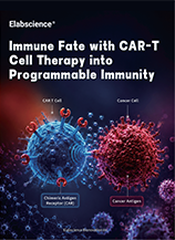 CAR-T Cell Therapy (2608)